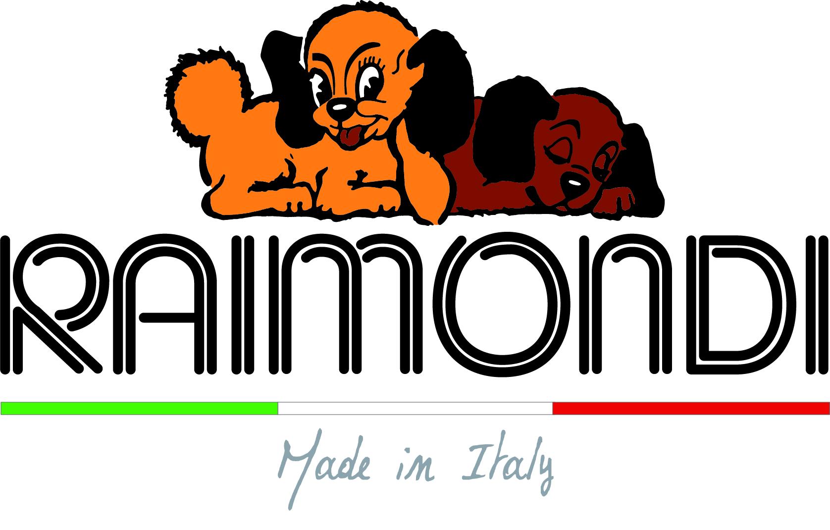 Logo raimondi